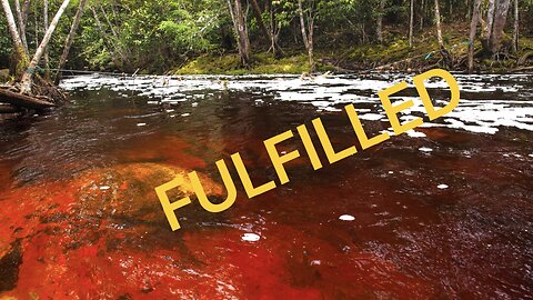 Fulfillment Red water