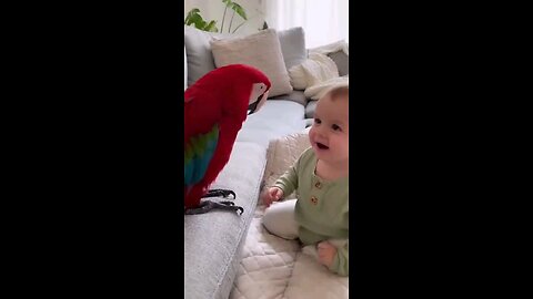 Parrot 🐦🦜 Teaches Baby How to say PAPA 😄