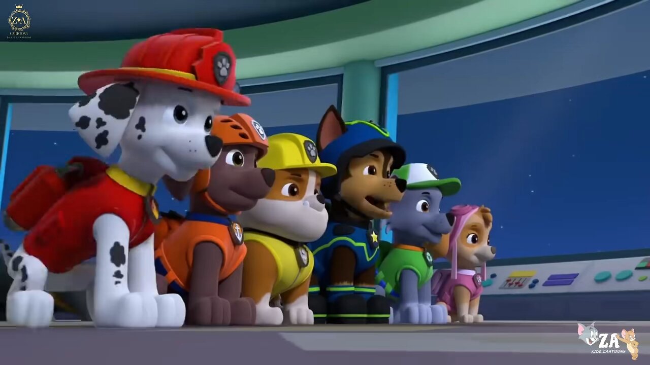 PAW Patrol Cartoons