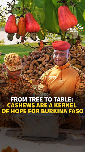 FROM TREE TO TABLE: CASHEWS ARE A KERNEL OF HOPE FOR BURKINA FASO