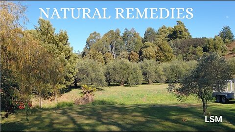 God's Healing Powers: Natural Remedies