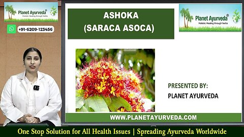 Ashoka (Saraca asoca) Health Benefits, Therapeutic Properties