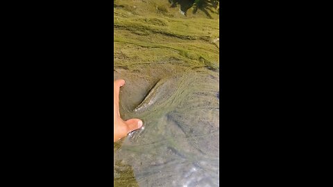 What is this?