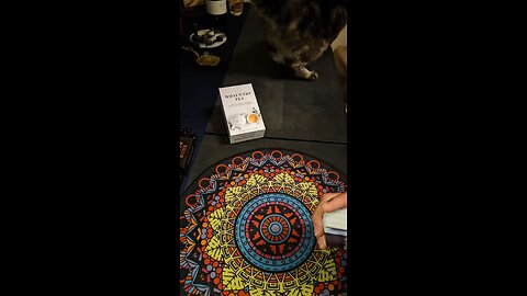 Today’s Collective pull from the What’s the T deck carried a clear warning + encouragement:
