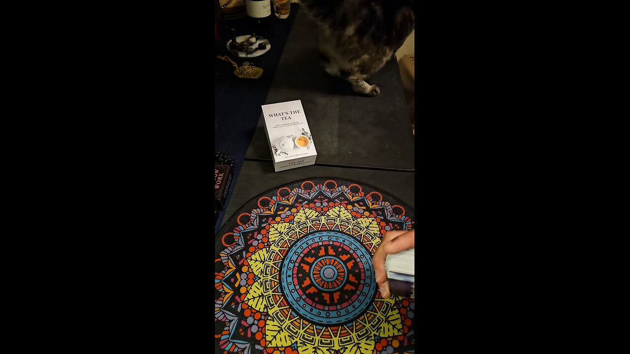 Today’s Collective pull from the What’s the T deck carried a clear warning + encouragement:
