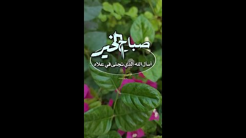 good morning