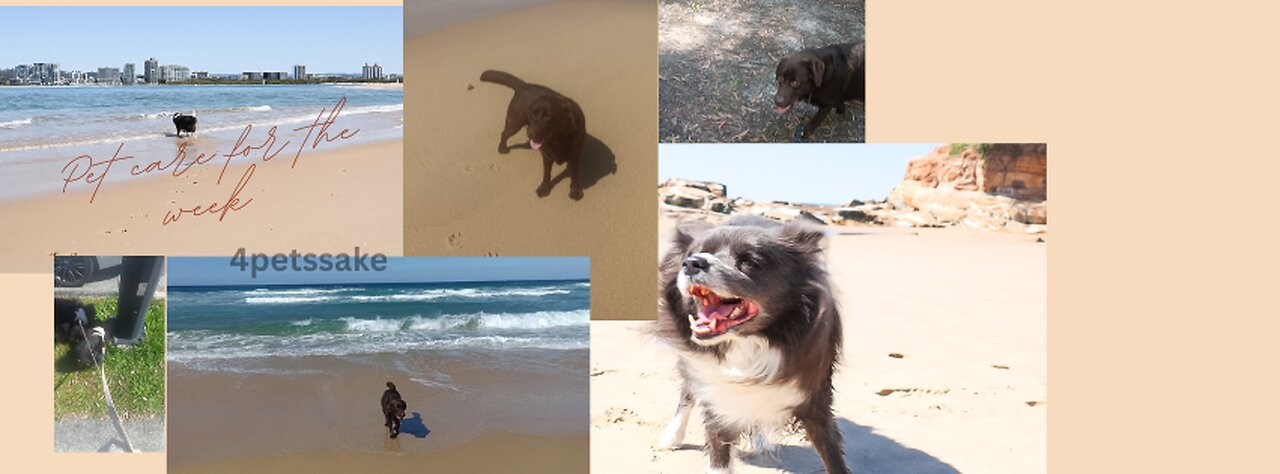 Pet care for the week (last week of winter)