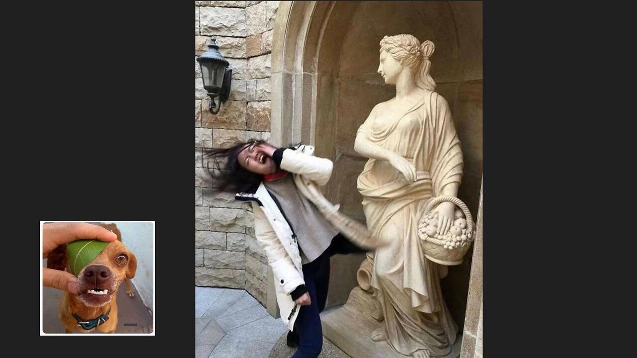 Memes That Will 99.0138% Make You Laugh. (e362)