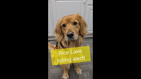 Rice Lake charmer with an optional bonus lot!