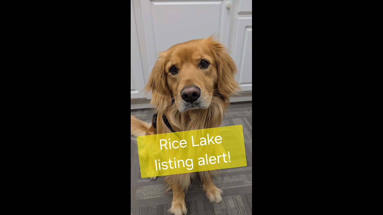 Rice Lake charmer with an optional bonus lot!