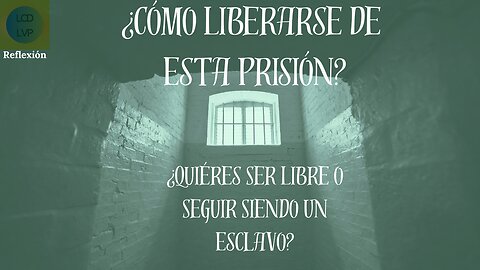 How To Get Freed From The Human Farm