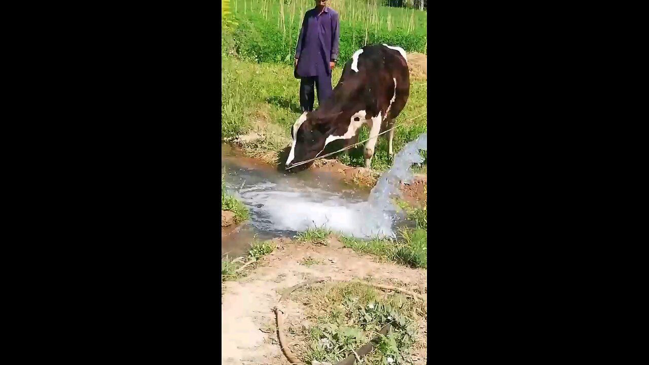 Bakra Eid Special