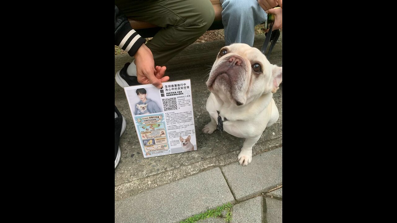 于朦朧Yu Mangling