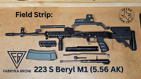 Field Strip: FB Radom 223 S Beryl M1