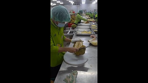durian fruit packaging process