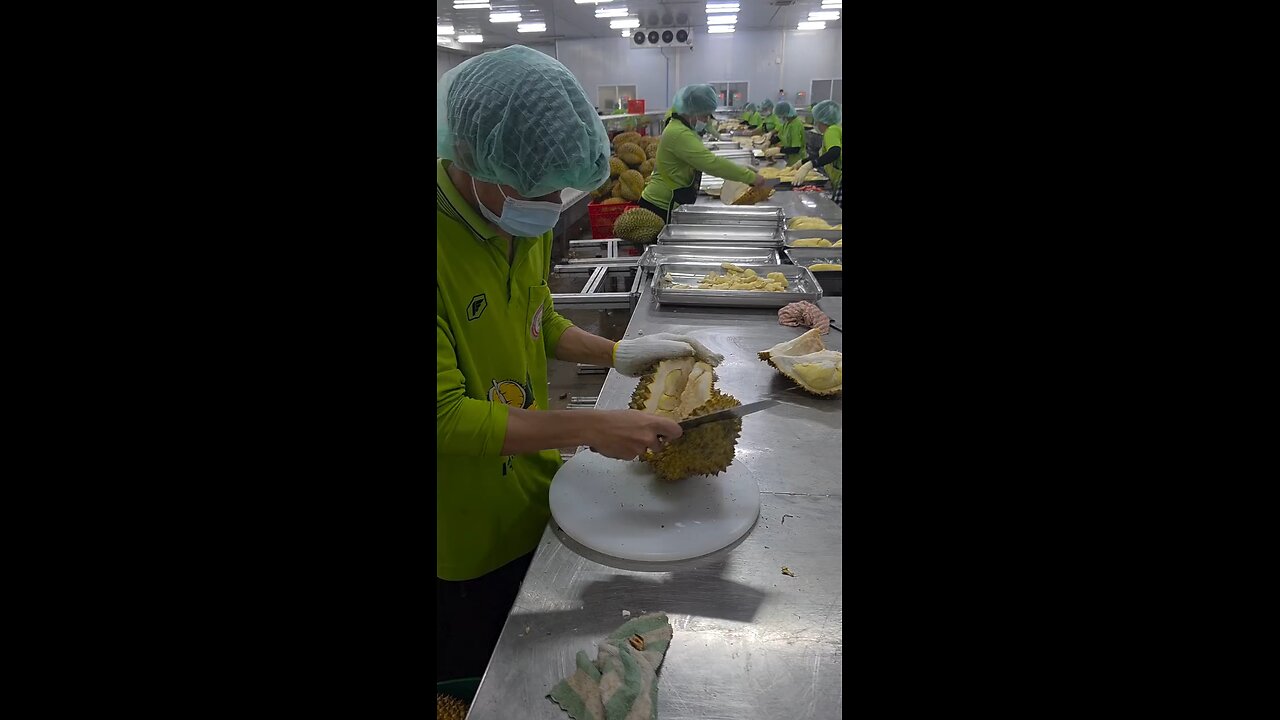 durian fruit packaging process