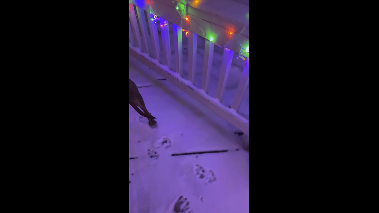 IRL -- Winter Storm Again