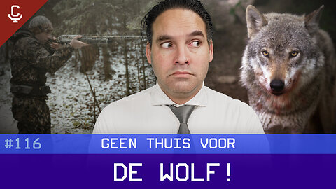 Current Ratio #116 Geen thuis voor de wolf!