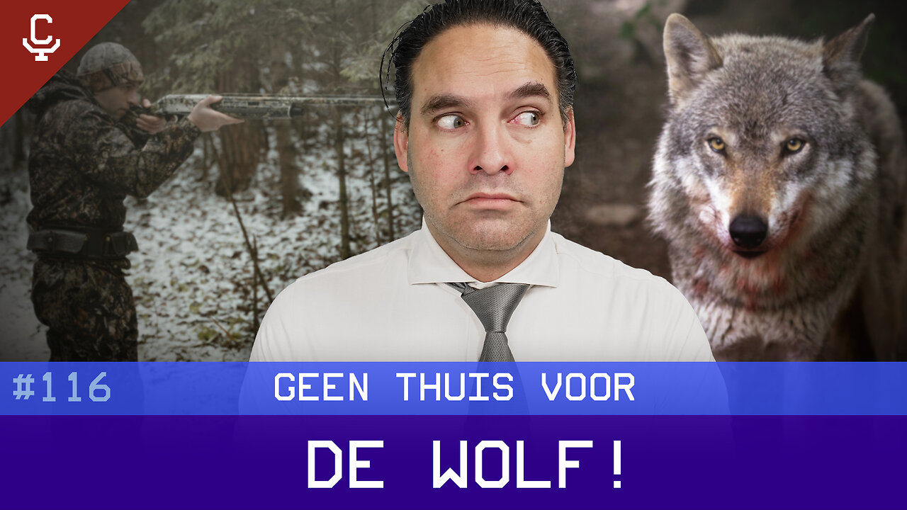 Current Ratio #116 Geen thuis voor de wolf!