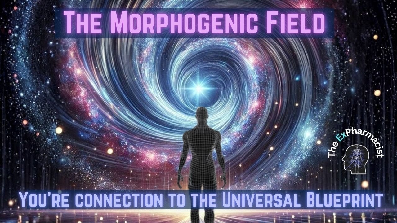 The Crystalline Grid & Morphogenic Field: The Truth Behind Earth’s Energy Network