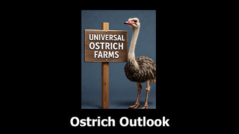 Ostrich Outlook