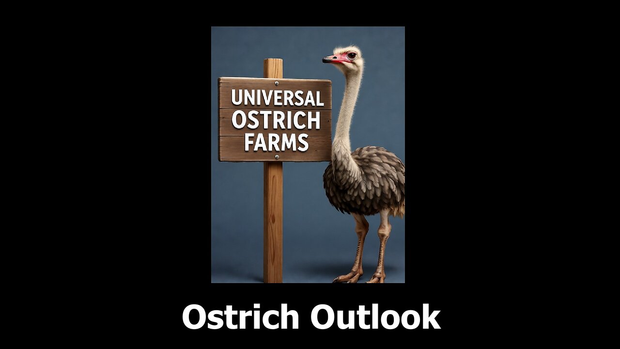 Ostrich Outlook