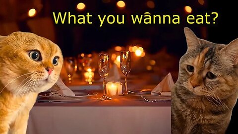 When a Cat and His Girlfriend go on a Romantic Date