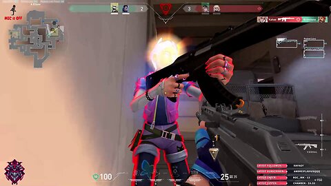 Just another useless player in Valorant ...