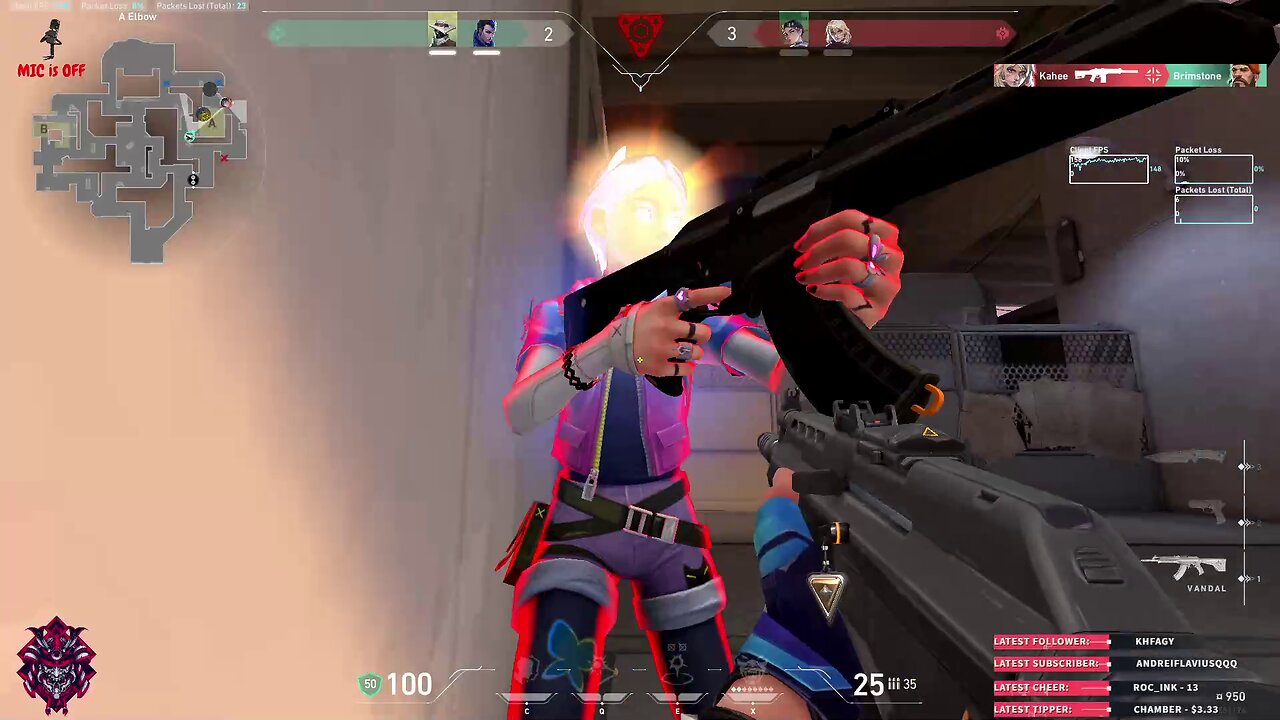 Just another useless player in Valorant ...