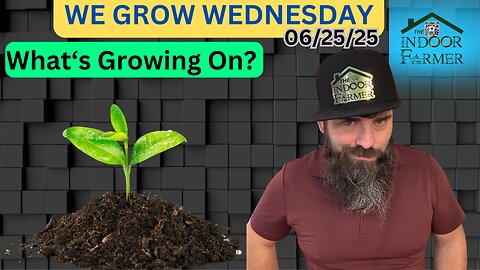 We Grow Wednesday 6/25/25, WWIII? Civil War? How About Grow Some Of Your Own Food?
