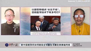 【 #量子伊一谈】 第167期：器官活摘 老百姓在共产党眼里不是人是人矿，官员在共产党眼里是党奴，都是可以随时活摘你身体器官的移动器官仓库