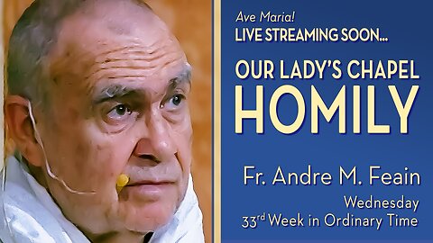 Wednesday of the Thirty-Third Week in Ordinary Time - November 19, 2025 - OLC HOMILY