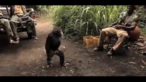 "Planet of the Apes - The Beginning"