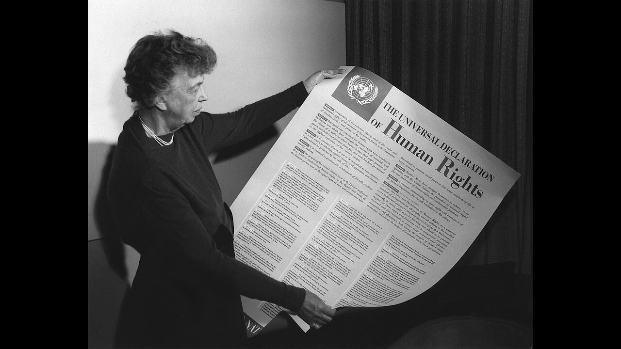 Let's change the Universal Declaration of Human Rights - Substack Article Quote