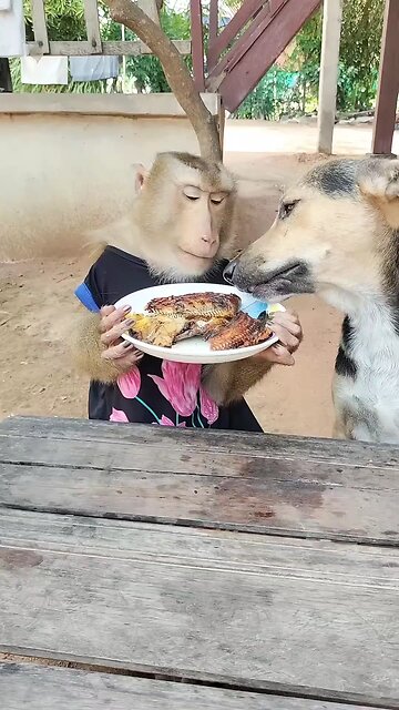 Good Job Best SokYaa, OG, Pao & Mom Are Famous Around The World #shorts #anime #trend #edit