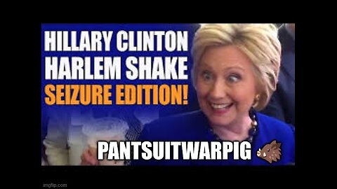 THE PANTSUITWARPIG 🐗 DOES THE HARLEM SHAKE [SEIZURE EDITION]