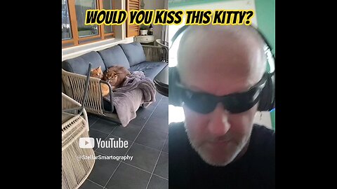 Angry Caracas Kitty Cat Meow