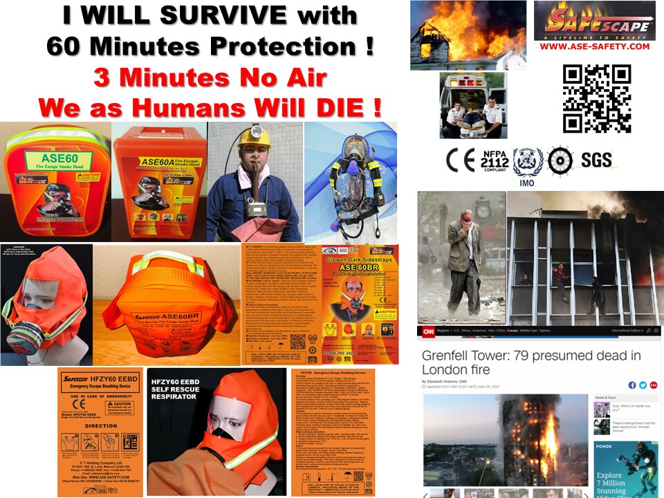 ' I WILL SURVIVE '