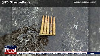 Dallas shooting: Anti-ICE bullets found, FBI says