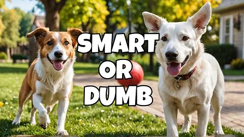 Smart vs. Dumb Dogs - The Truth About Canine Intelligence
