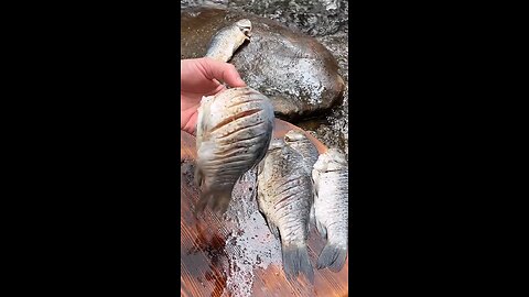 Cooking Fish in stone Cooking Fish in stone