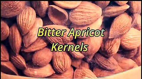 APRICOT SEEDS -- SUPER DOOPER SUPER FOOD WITH PURPORTED CANCER CURING PROPERTIES ❤️