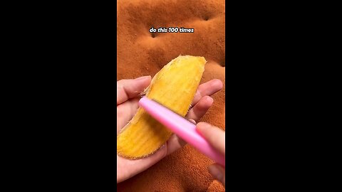 Fluffy mango pet✨