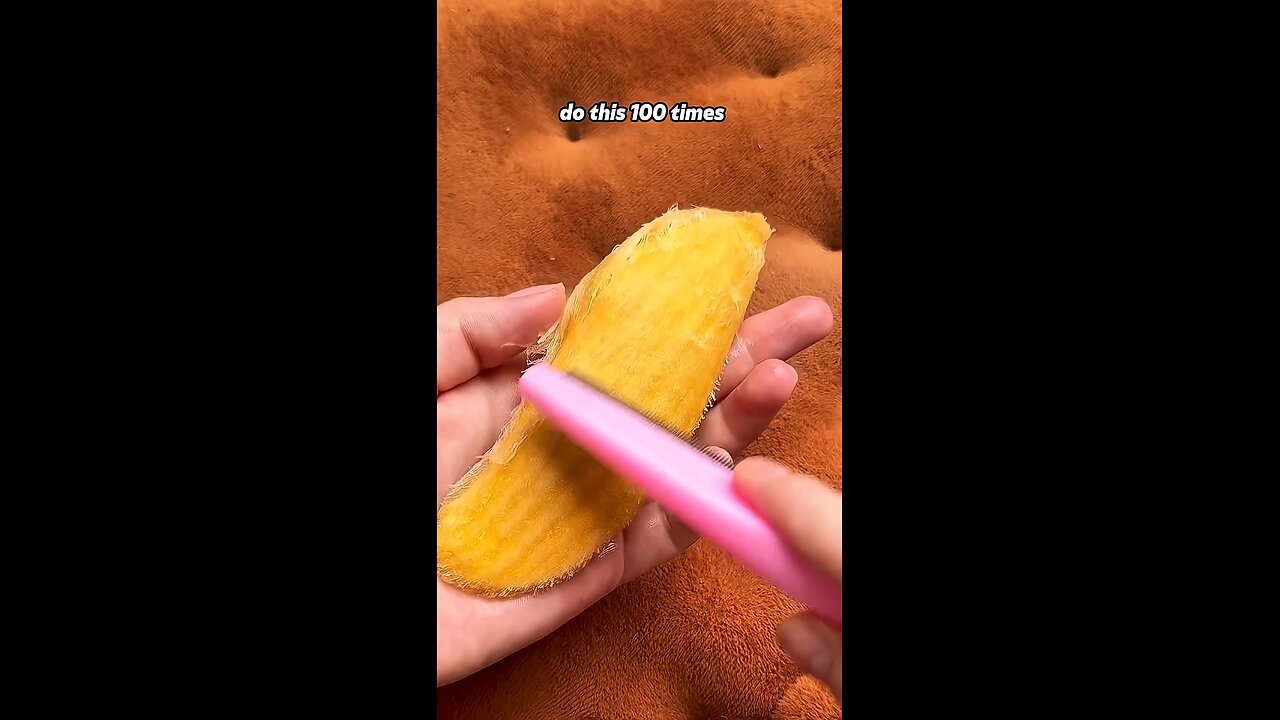 Fluffy mango pet✨