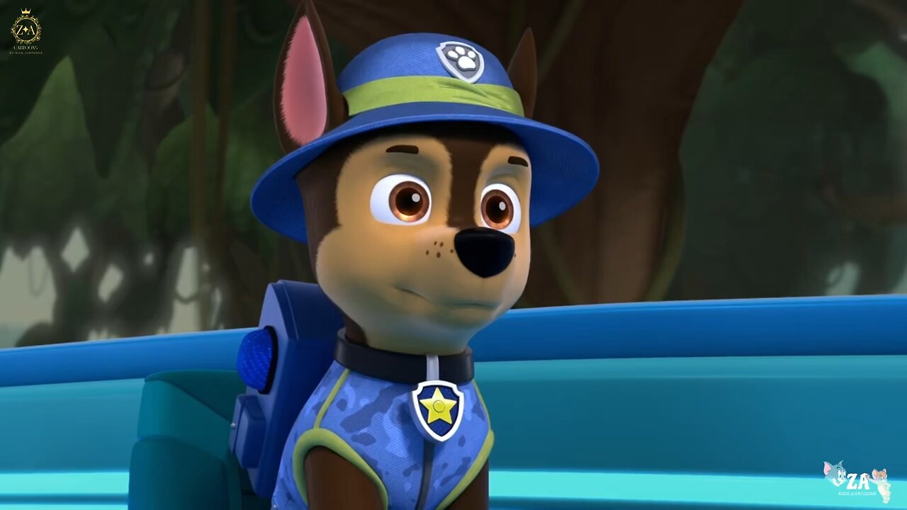 PAW Patrol Cartoons