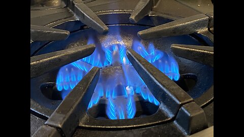 Is a Bluestar Range the best? Review/Overview