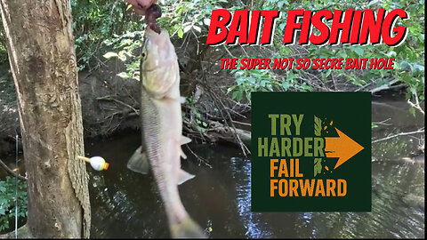 Super Secret Bait hole, Not so Secret anymore