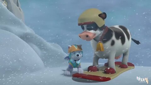 PAW Patrol Cartoons