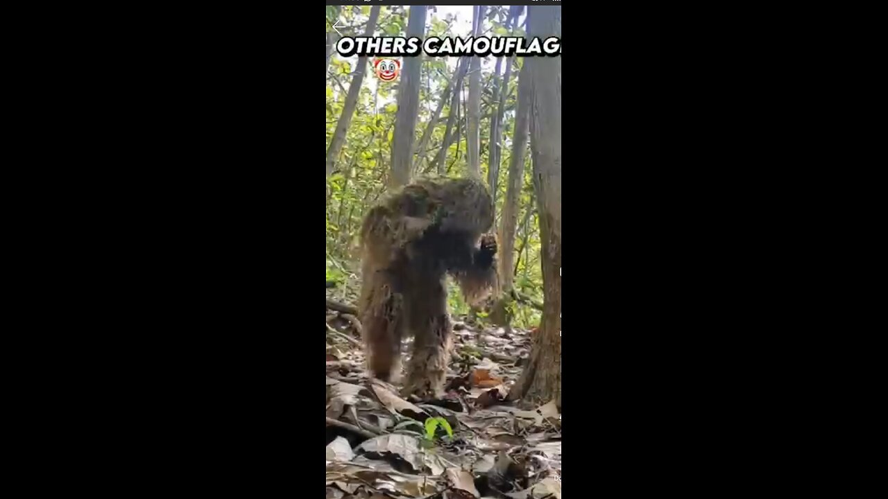 His camouflage skill☠️