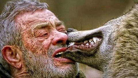 79 Years old Man Lives Among Wolves, Becomes The Alpha Male